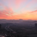 신우행정사 이미지