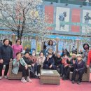 돌봄사회서비스센터 | 안동 돌봄 사회서비스센터 주간보호 -벚꽃 나들이