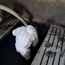 대은농장 이미지