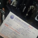 블루썬데이 | 치앙마이 여행기 1탄 | 엘리핀팜 투어, 싸이프레스 레인, 반캉왓, 썬데이마켓, 블루누들