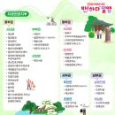 올레에반하다 | 반하다밀양 덕분에 반값으로 즐긴 밀양