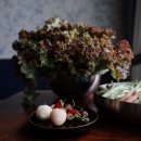 준혁농장 이미지