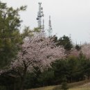 봉황산 공원 이미지