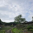 부여 관음사지 | [문화유산_110] BAC역사문화대장정 부여 성흥산 대조사 미륵보살입상_0914