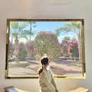 훈식 | 제주 동백꽃 스팟, 어디까지 가봤니?올해 무료공개된 훈식이네 동백밭 후기