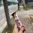 GS25 금산신대점 네이버블로그