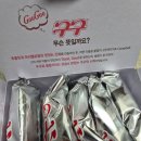 99마트 | [내돈내산] 아이스크림 할인 마트 '빙고푸드' 구구콘 말고 '구구99' 재구매 후기
