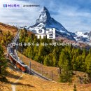 호뉴투어