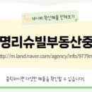 대명부동산중개 이미지