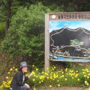 봉황자연휴양림 이미지