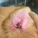 개신남3호점 이미지