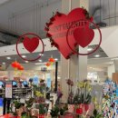 (주) 모노프리 이미지