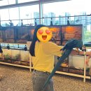 카페만날 | [동탄] 아이랑 실내 가볼 만한 곳, 이색 동물을 만날 수 있는 키워볼래 카페 솔직 후기