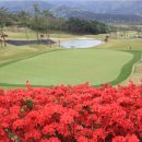 석정힐CC 이미지