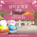 友벗우클럽 | 남이섬 벚꽃 여행 입장권, 트립닷컴 할인 예약 꿀팁