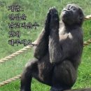 인성