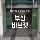 바브캣중기 | 부산바브캣 어느 학교건물 현장 후기!