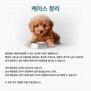 온천동물병원 이미지