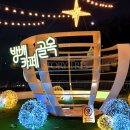 카페스트링