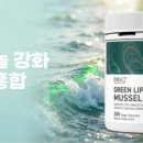 엔조제놀 | 관절 유연성과 편안한 소화를 위한 이노 리피도놀 22500 성분 분석