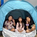 계명대 포세이돈 태권도장 이미지