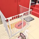 마이리틀차차(my little chacha) 이미지