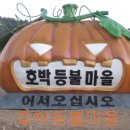 능원3리 Daum카페