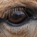 닥터아이씨엘안과의원 이미지