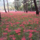 곡성-041 | 2025년 보령 한달살기(2차) 충남 한달살기 지자체 한달살기 일주일살기 지원사업