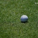 금곡 스크린 골프 이미지