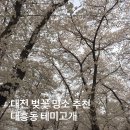 그루터기공원 | 대전 벚꽃 명소 추천 테미공원 봄축제 실시간
