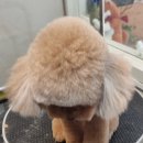 유스타 그루밍 이미지