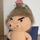 할로 이미지