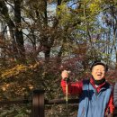 덕원 카카오 검색결과