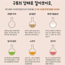 댕댕클라스 이미지