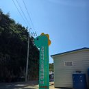 고성 다이노 캠핑장 | 경남 신상 아이와 가볼만한 곳 고성 다이노플레이센터 솔직후기