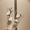 레이첼스가든