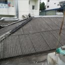 상남동229 이미지