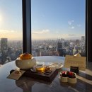 King's 뽑기방 | [페어몬트도쿄] 도쿄타워뷰 KING 룸 후기 (아코르플래티넘, 웰컴기프트, 마스코트 셰린)