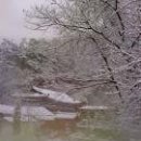 대승불교정토종 총무원 종무회의 이미지