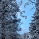 오늘의머리 - 중구 | 오늘의머리