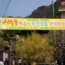 구례 산동면 상위마을 산수유 축제 이미지