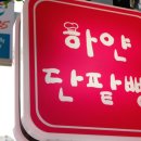 하얀 단팥빵 이미지