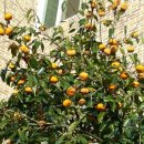 단감주유소 이미지