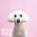 뭉치네 미용실 이미지