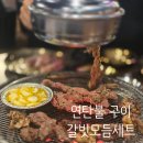 갈빗 - 고양시 일산서구 송산로 335 | 신월동 갈비 맛집 갈빗 연탄구이 갈빗모둠세트 후기