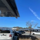 종수네 | <세종>세종시 가볼만한곳 "국립세세종수목" 실내 사계절 온실 방문후기-카카오프렌즈 전시