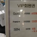 단헤어팀