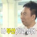 다이나풀빌라 이미지