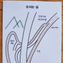 카사데인제 이미지